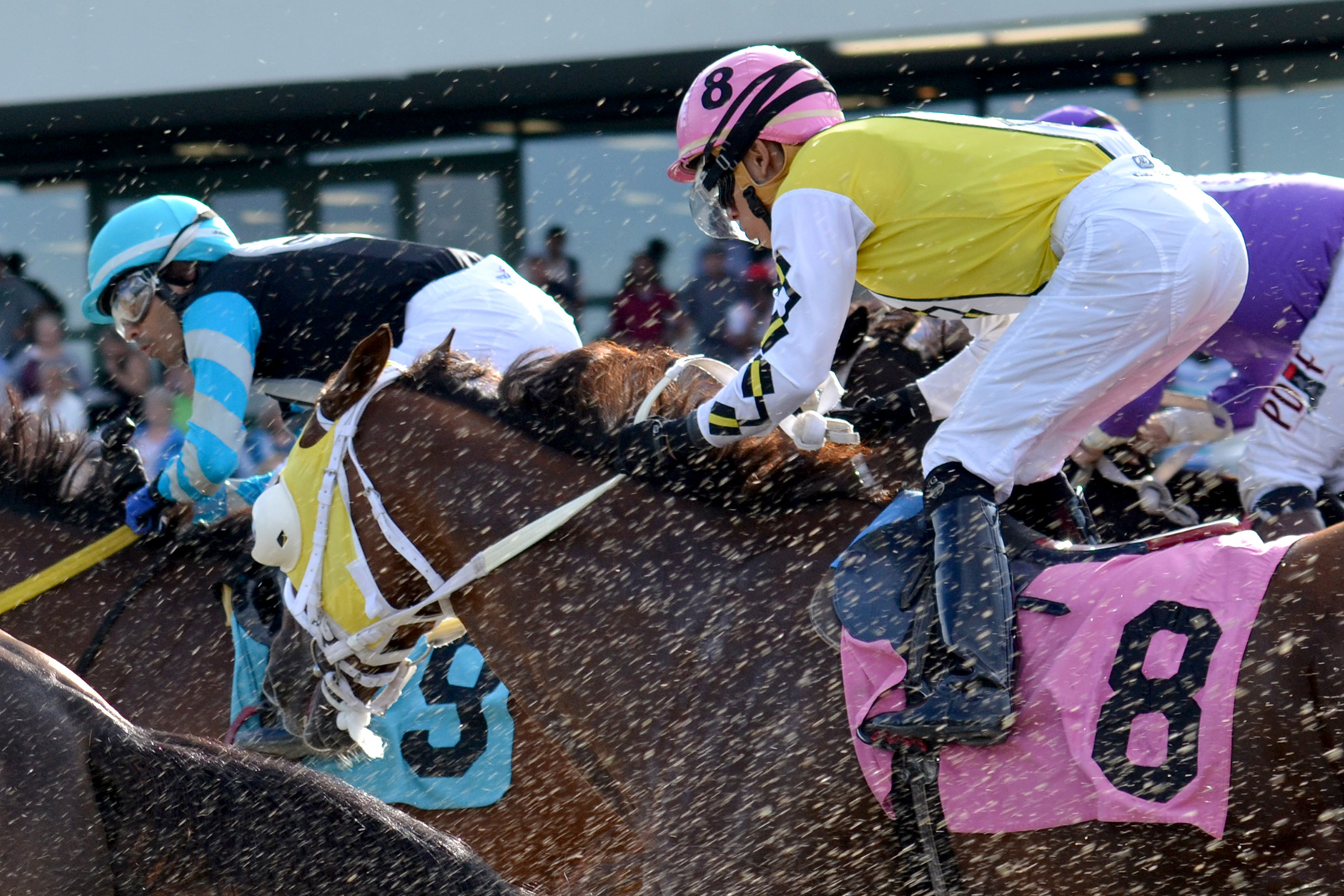 Dirt flies up as the field heads to the clubhouse turn in race 10 on June 30 at Suffolk Downs