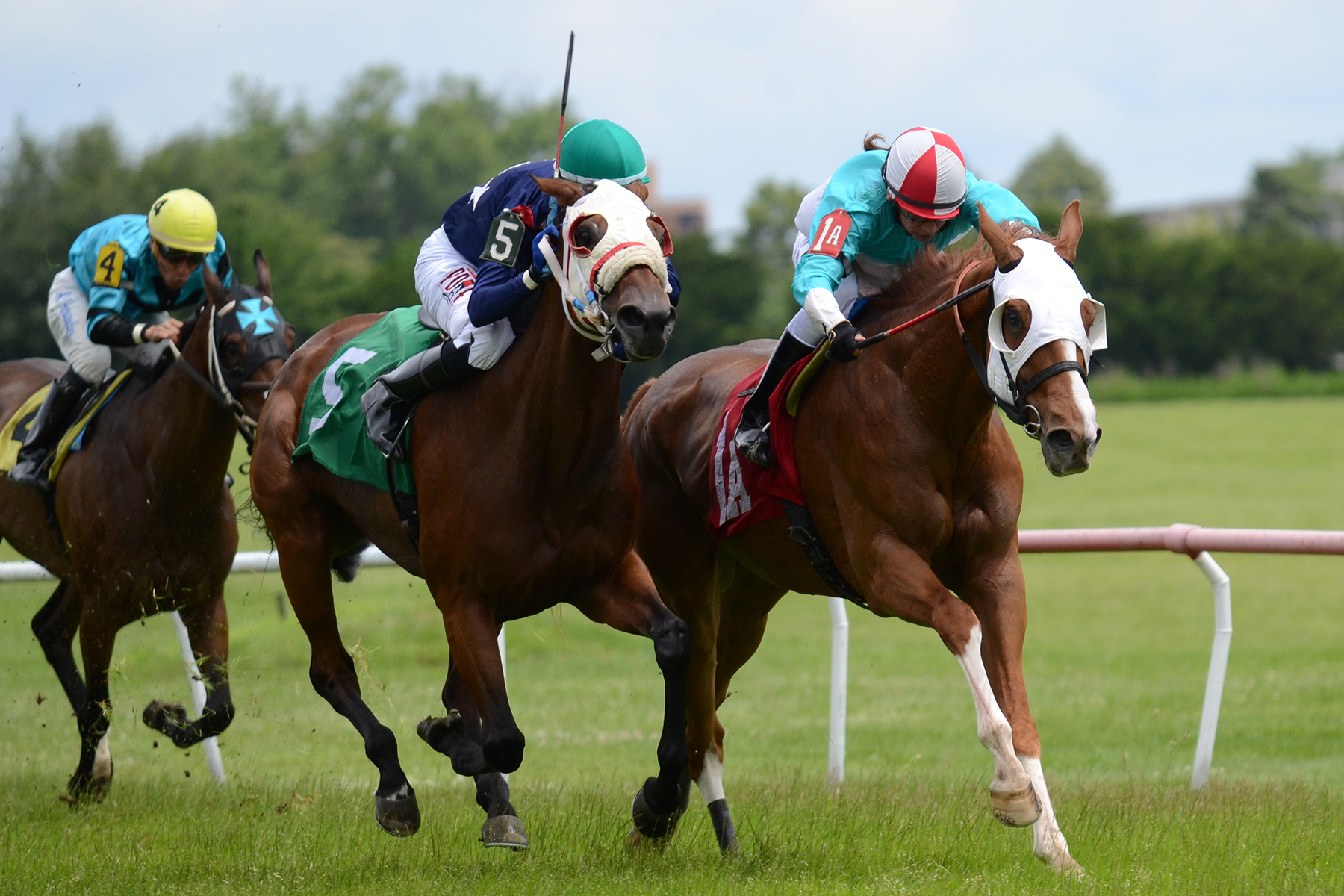 Saint Alfred and Desert Dotty go head to head in the stretch of the Thomas F. Moran Stakes for Massachusetts-breds on July 30