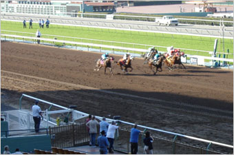 Race finish