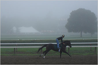 Foggy Saratoga morning